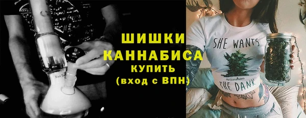 шишки Медвежьегорск
