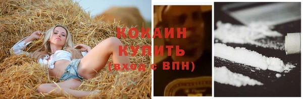 дживик Абинск