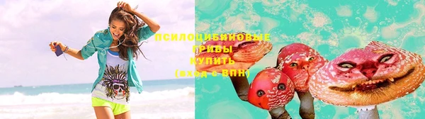 ГАЛЛЮЦИНОГЕННЫЕ ГРИБЫ Медногорск