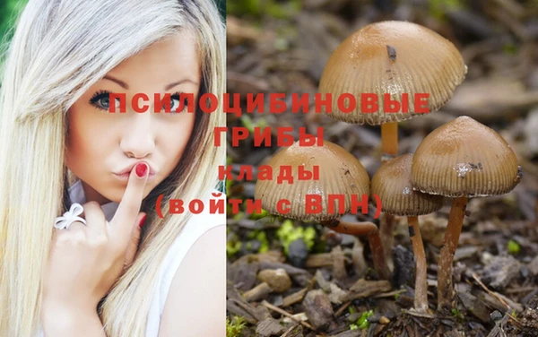 ALPHA PVP Абаза
