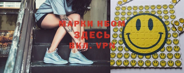 шишки Медвежьегорск