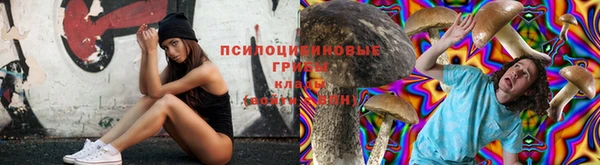 меф Мегион