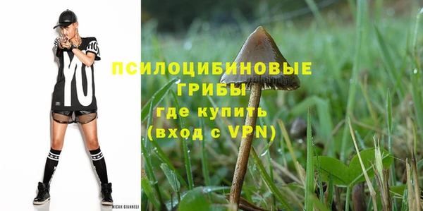 шишки Медвежьегорск
