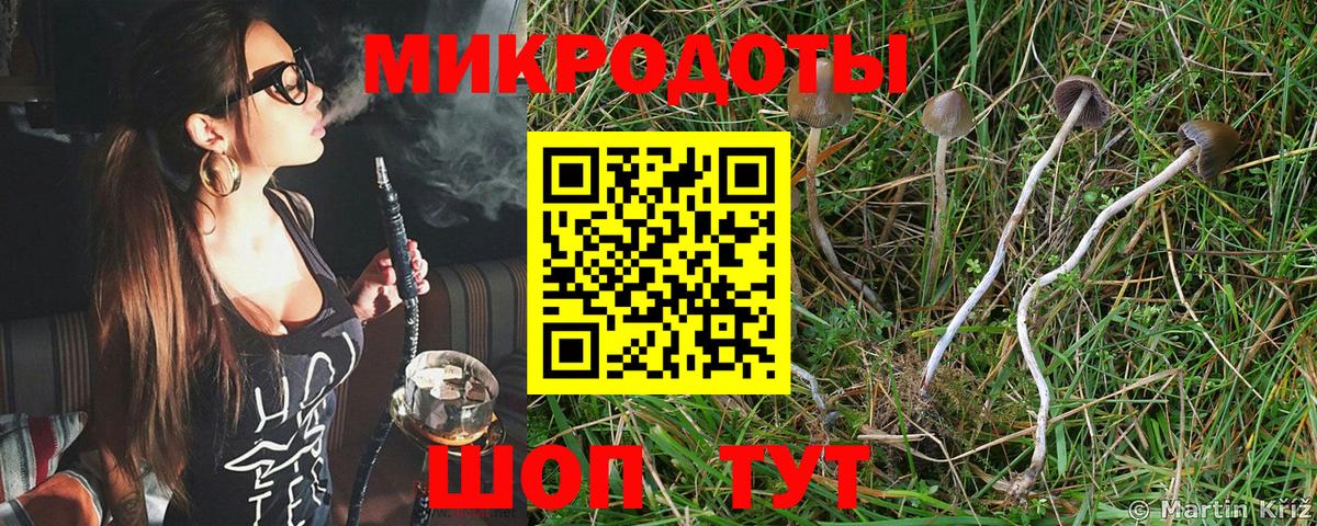 цена   Псилоцибиновые грибы Magic Shrooms  Вход с VPN  Екатеринбург 